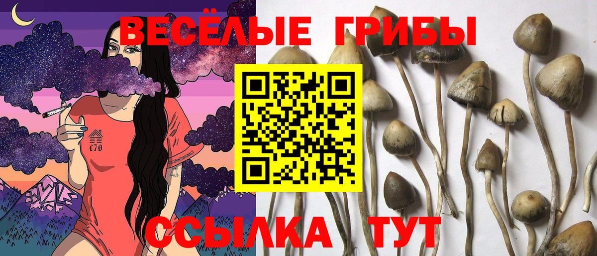 Псилоцибиновые грибы мицелий  Вход с VPN  Можга 
